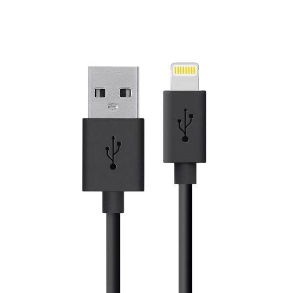 АЗУ Belkin 1USB iPhone - Image 2